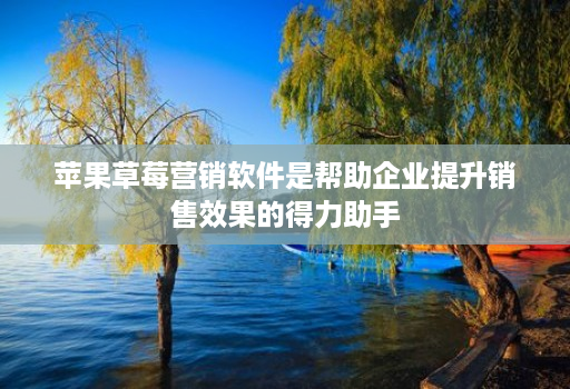 苹果草莓营销软件是帮助企业提升销售效果的得力助手