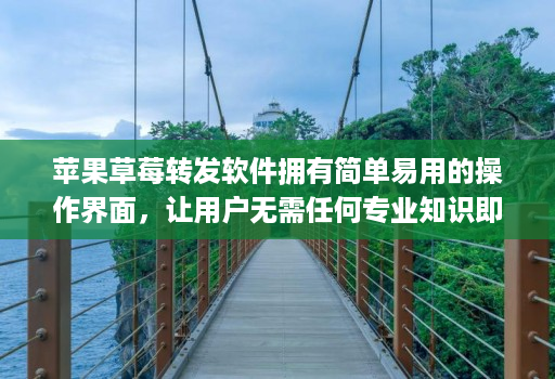 苹果草莓转发软件拥有简单易用的操作界面，让用户无需任何专业知识即可上手操作