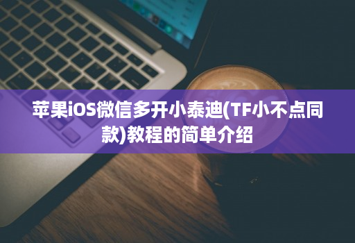 苹果ios维信哆开小泰迪(tf小不点同款)教程的简单介绍