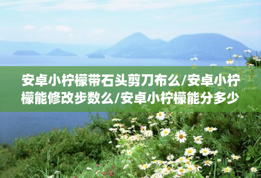 安卓小柠檬带石头剪刀布么/安卓小柠檬能修改步数么/安卓小柠檬能分多少个微信