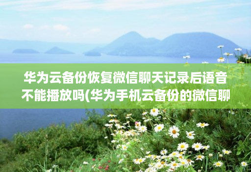 华为云备份恢复微信聊天记录后语音不能播放吗(华为手机云备份的微信聊天记录怎么恢复 )