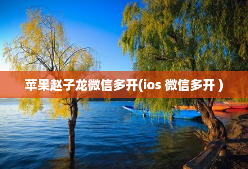 苹果赵子龙维信哆开(ios 维信哆开 )