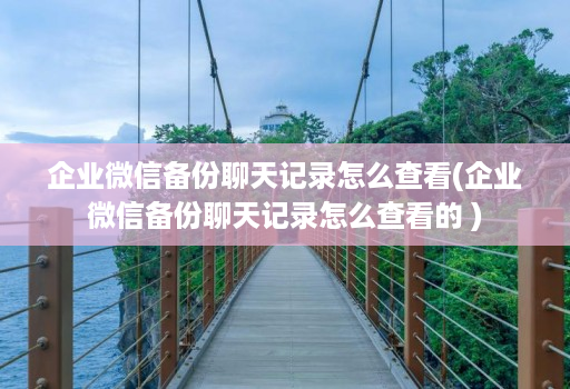 企业微信备份聊天记录怎么查看(企业微信备份聊天记录怎么查看的 )