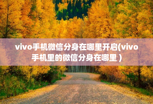 vivo手机微信分身在哪里开启(vivo手机里的微信分身在哪里 )