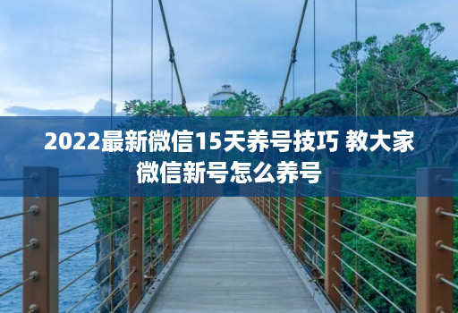 2022最新微信15天养号技巧 教大家微信新号怎么养号