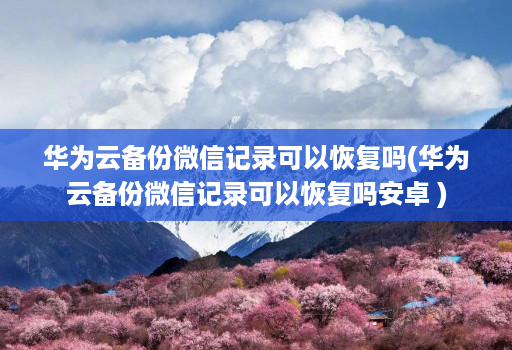 华为云备份微信记录可以恢复吗(华为云备份微信记录可以恢复吗安卓 )