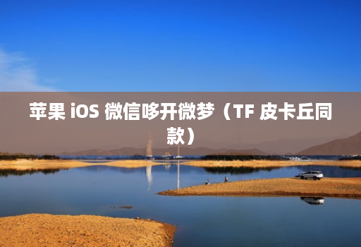 苹果 ios 微信哆开微梦（tf 皮卡丘同款）