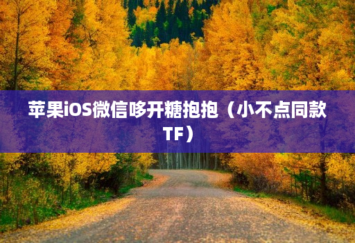 苹果ios微信哆开糖抱抱（小不点同款tf）