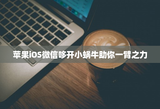 苹果ios微信哆开小蜗牛助你一臂之力