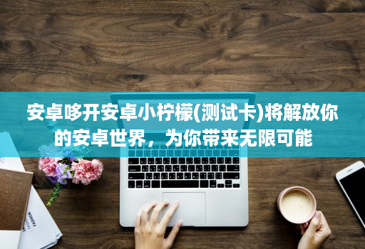 安卓哆开安卓小柠檬(测试卡)将解放你的安卓世界，为你带来无限可能