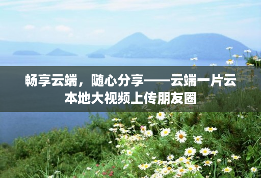 畅享云端，随心分享——云端一片云本地大视频上传朋友圈