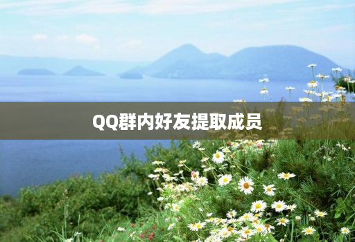 qq群内好友提取成员