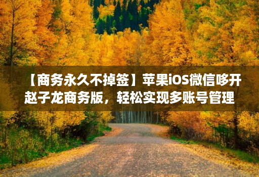 【商务永久不掉签】苹果ios微信哆开赵子龙商务版，轻松实现多账号管理