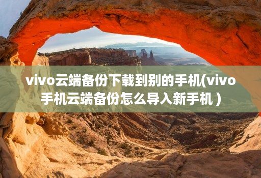 vivo云端备份下载到别的手机(vivo手机云端备份怎么导入新手机 )