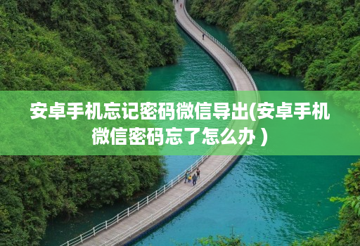 安卓手机忘记密码微信导出(安卓手机微信密码忘了怎么办 )