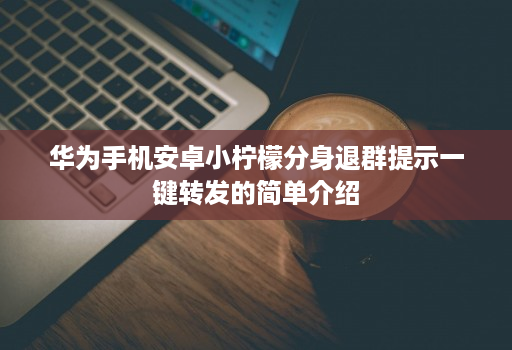 华为手机安卓小柠檬分身退群提示一键转发的简单介绍