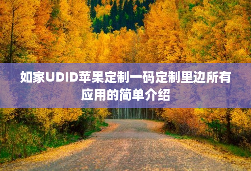 如家udid苹果定制一码定制里边所有应用的简单介绍