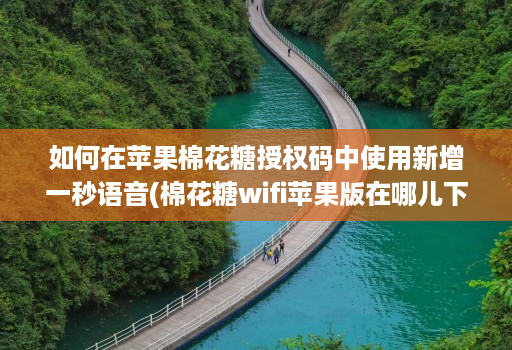 如何在苹果棉花糖授权码中使用新增一秒语音(棉花糖wifi苹果版在哪儿下载)