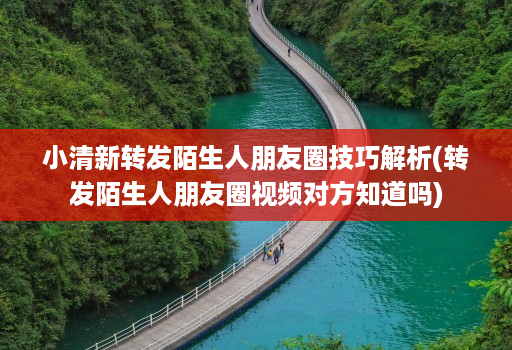 小清新转发陌生人朋友圈技巧解析(转发陌生人朋友圈视频对方知道吗)