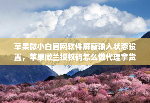 苹果微小白j9九游会登陆入口官网软件屏蔽输入状态设置，苹果微兰授权码怎么做代理拿货