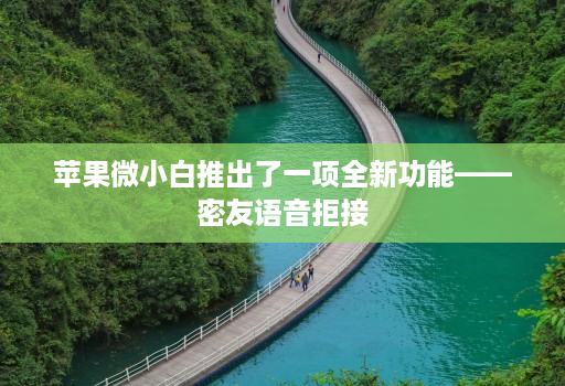 苹果微小白推出了一项全新功能——密友语音拒接