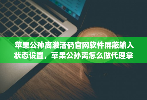  苹果公孙离激活码j9九游会登陆入口官网软件屏蔽输入状态设置，苹果公孙离怎么做代理拿货