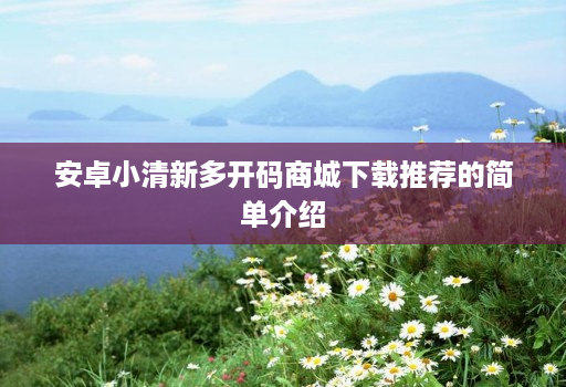 安卓小清新多开码商城下载推荐的简单介绍