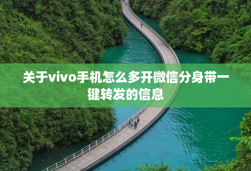 关于vivo手机怎么多开微信分身带一键转发的信息