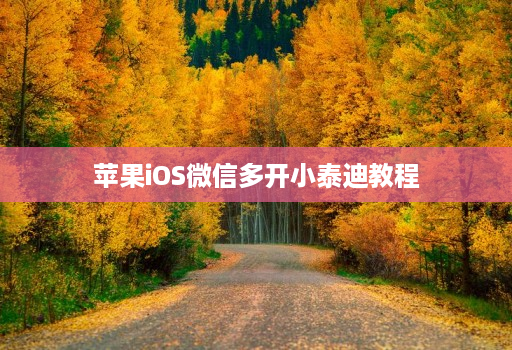 苹果ios微信多开小泰迪教程