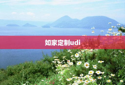 如家定制udi