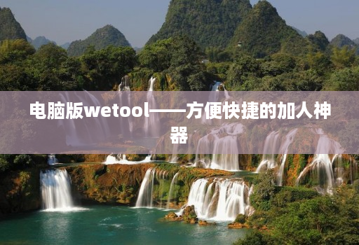 电脑版wetool——方便快捷的加人神器