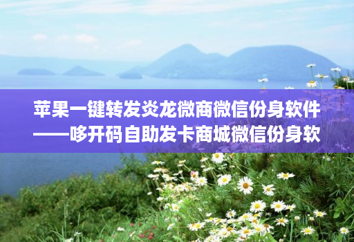 苹果一键转发炎龙微商微信份身软件——哆开码自助发卡商城微信份身软件