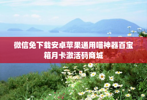 微信免下载安卓苹果通用喵神器百宝箱月卡激活码商城