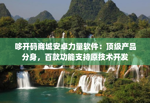 哆开码商城安卓力量软件：顶级产品分身，百款功能支持原技术开发