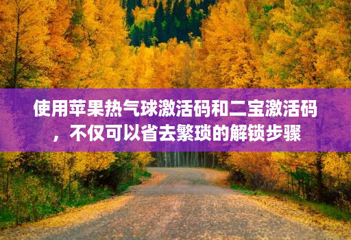 使用苹果热气球激活码和二宝激活码，不仅可以省去繁琐的解锁步骤