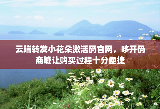 云端转发小花朵激活码j9九游会登陆入口官网，哆开码商城让购买过程十分便捷