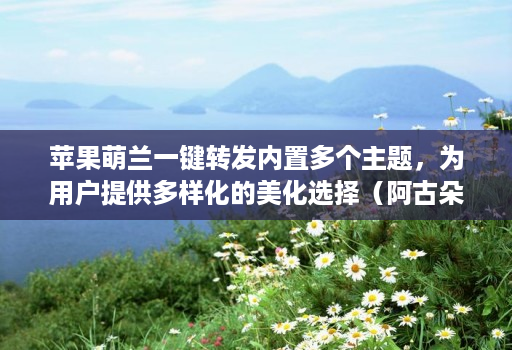 苹果萌兰一键转发内置多个主题，为用户提供多样化的美化选择（阿古朵新款）