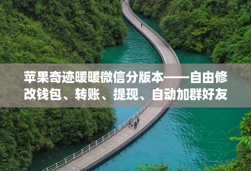 苹果奇迹暖暖微信分版本——自由修改钱包、转账、提现、自动加群好友消息小尾巴