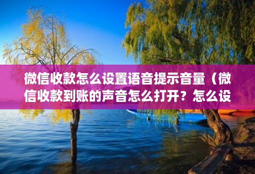 微信收款怎么设置语音提示音量（微信收款到账的声音怎么打开？怎么设置？）