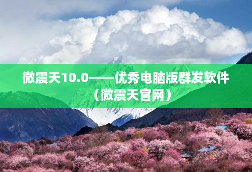 微震天10.0——优秀电脑版群发软件（微震天j9九游会登陆入口官网）