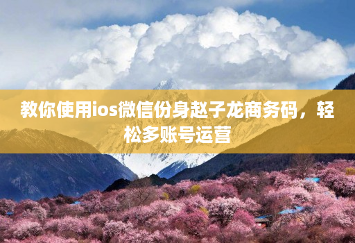 教你使用ios微信份身赵子龙商务码，轻松多账号运营