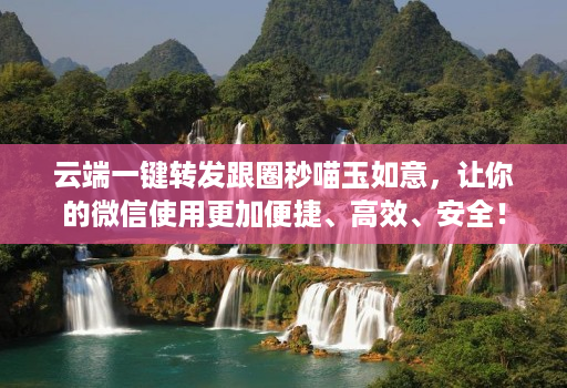 云端一键转发跟圈秒喵玉如意，让你的微信使用更加便捷、高效、安全！