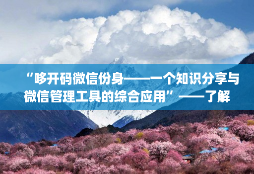 “哆开码微信份身——一个知识分享与微信管理工具的综合应用”——了解这款工具的功能和优势