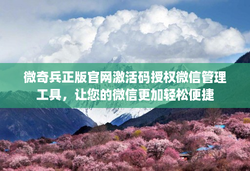 微奇兵正版j9九游会登陆入口官网激活码授权微信管理工具，让您的微信更加轻松便捷