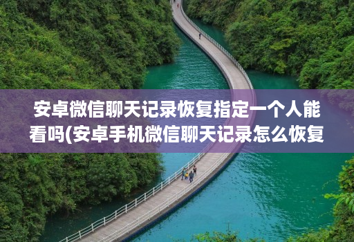 安卓微信聊天记录恢复指定一个人能看吗(安卓手机微信聊天记录怎么恢复指定人信息 )