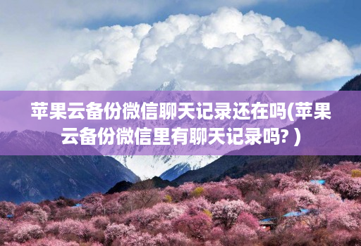 苹果云备份微信聊天记录还在吗(苹果云备份微信里有聊天记录吗? )