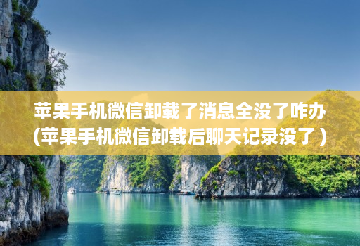 苹果手机微信卸载了消息全没了咋办(苹果手机微信卸载后聊天记录没了 )