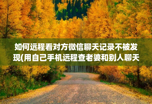 如何远程看对方微信聊天记录不被发现(用自己手机远程查老婆和别人聊天 )