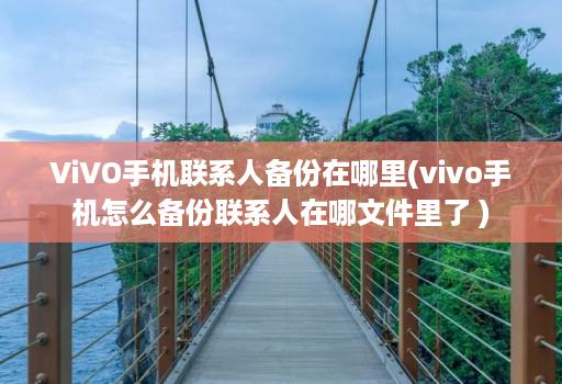 vivo手机联系人备份在哪里(vivo手机怎么备份联系人在哪文件里了 )