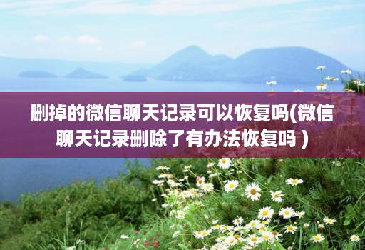 删掉的微信聊天记录可以恢复吗(微信聊天记录删除了有办法恢复吗 )